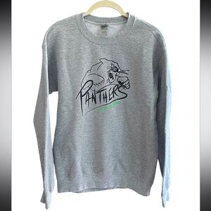 Panthers AllStar Cheer Sweatshirt Gray Size Small